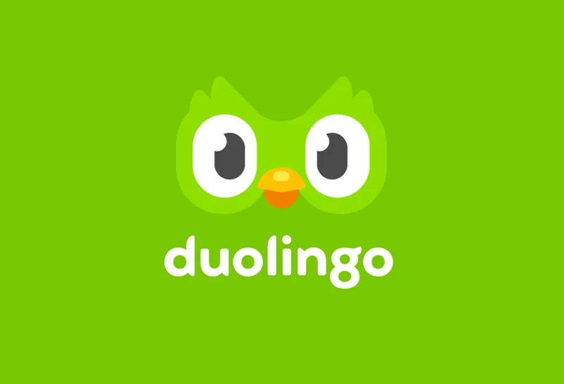 Duolingo Stock Plunge: Earnings Breakdown and Investor Concerns
